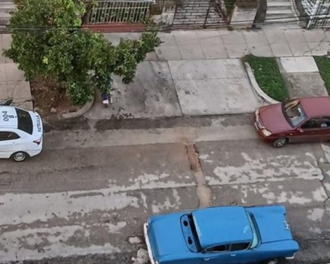 One more year, the Cuban regime celebrates Human Rights Day with a police deployment