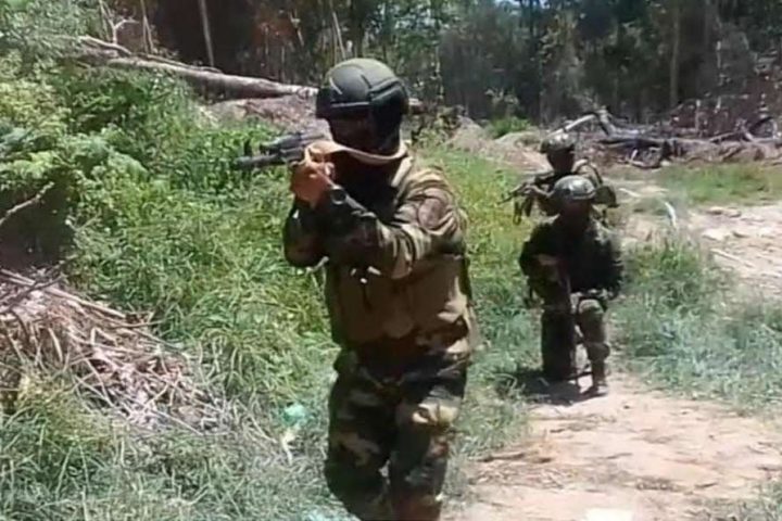 Operation Zaraza left 36 criminals killed in Guárico