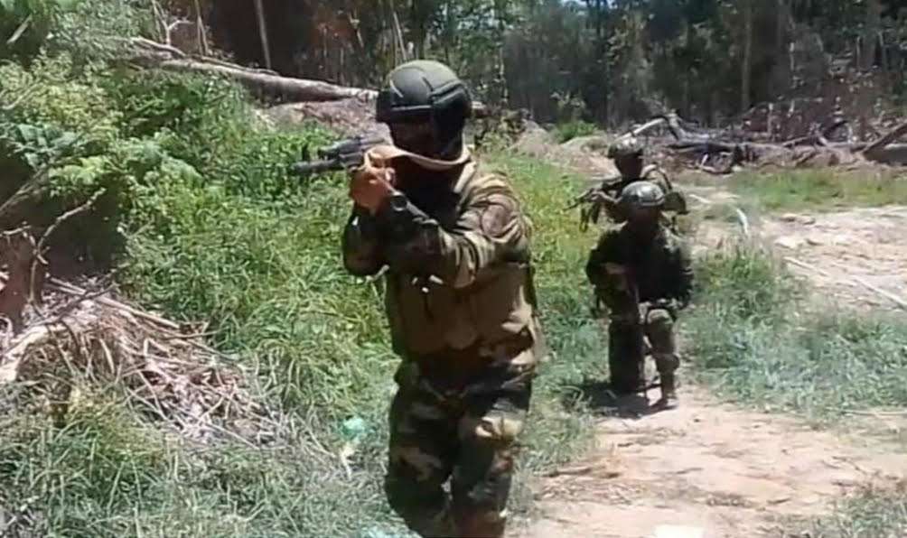 Operation Zaraza left 36 criminals killed in Guárico