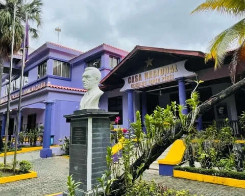 PLD reunirá sus mandos de dirección para evaluar línea de organización