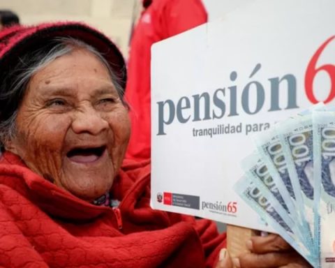 Pension 65: Midis incorporates 6,505 new users who will receive a subsidy from December 22