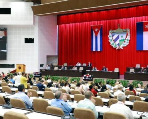 Pérez-Oliva, great-nephew of Fidel Castro, is already a deputy and may run for the presidency of the Republic