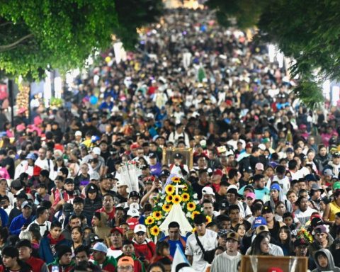 Pilgrims break record: 12.8 million have arrived at the Basilica; authorities report white balance