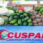 Plan Amor y Prosperidad has distributed 158 thousand tons of food