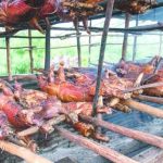 Pork production will be up to 8% higher, but it will have to be imported