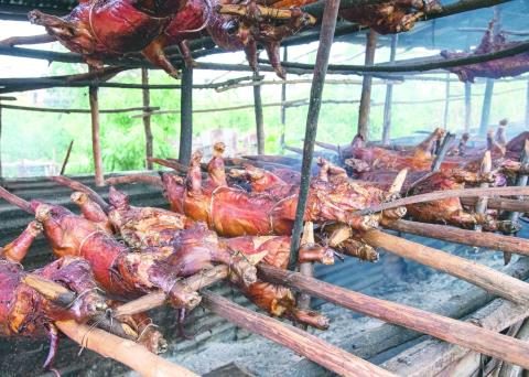 Pork production will be up to 8% higher, but it will have to be imported