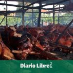 Proconsumidor will supervise pig farms to ensure quality at Christmas