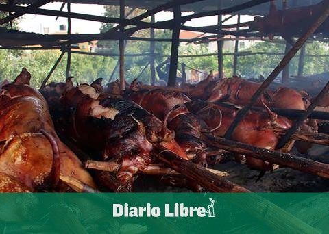 Proconsumidor will supervise pig farms to ensure quality at Christmas