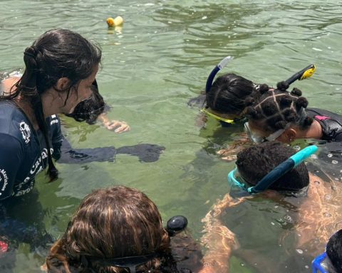 Project in Rio trains seahorse guardians aged 12 to 14