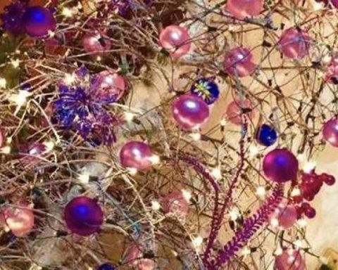 Recommendations to avoid accidents at home during Christmas