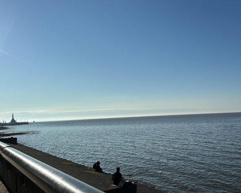 Reflections of a reborn