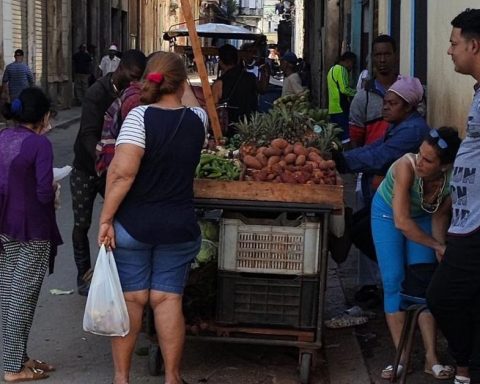 Rice and potato: "blaming the habits of the people for the failures of the system"