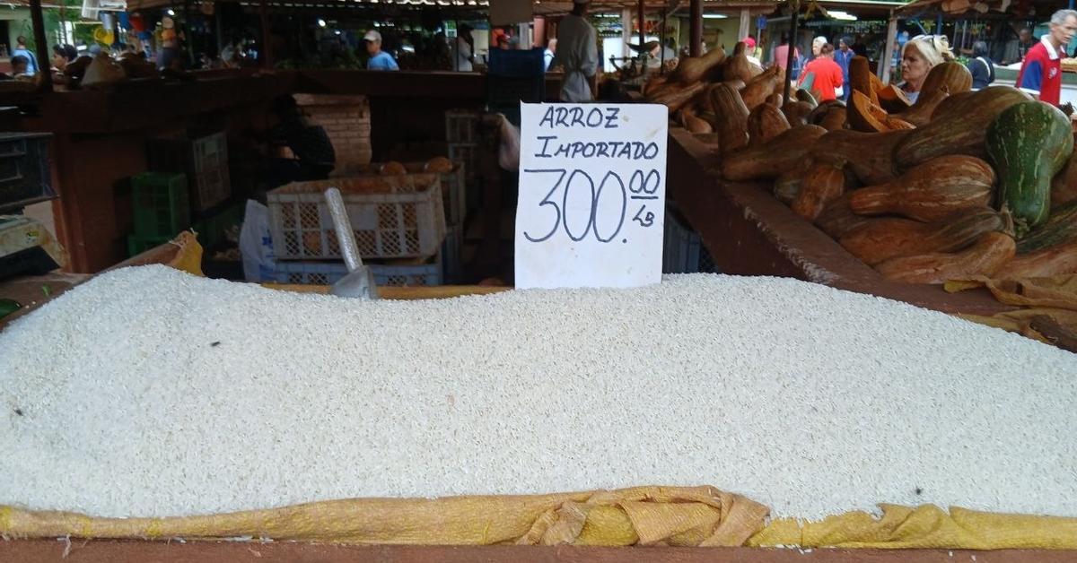 Rice and potatoes do not fit into the official recipe for “food sovereignty”