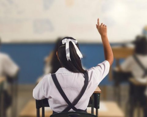 Romero Foundation will grant 800,000 scholarships for young people