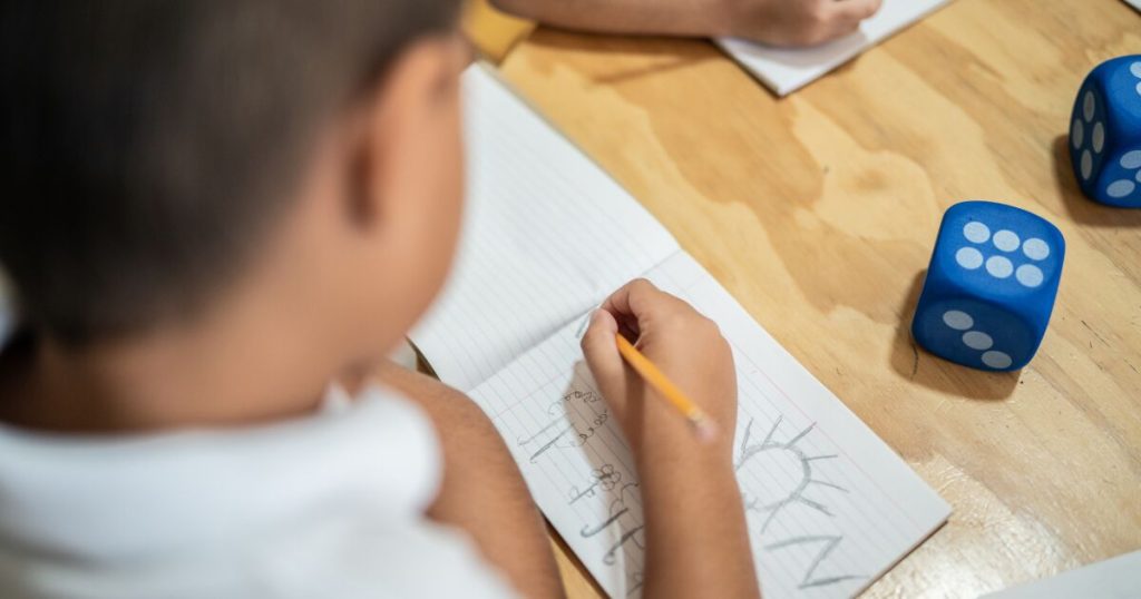 SEP launches plan to improve access to initial education