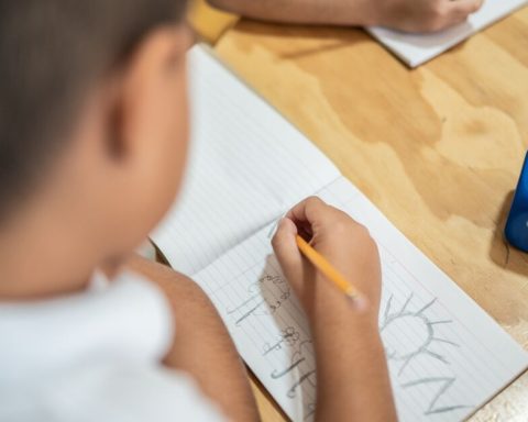 SEP launches plan to improve access to initial education