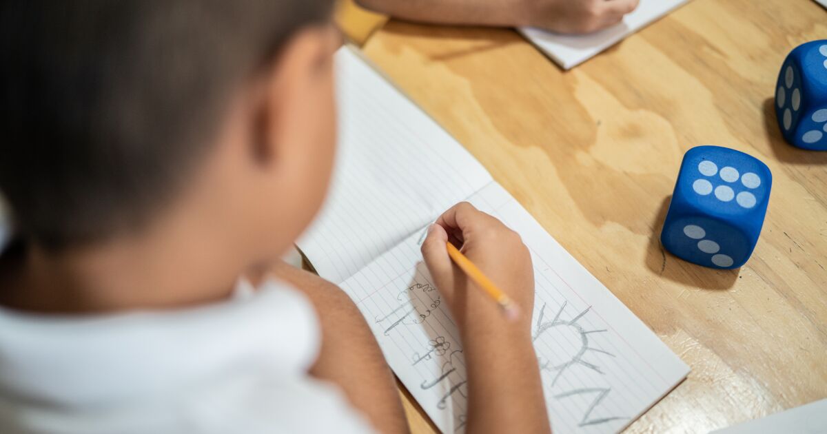 SEP launches plan to improve access to initial education