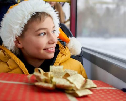 Sabana Train at Christmas 2025: How much is the ticket and where to buy the tickets? and more