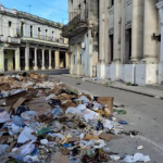 Amadeo Roldán, basurero