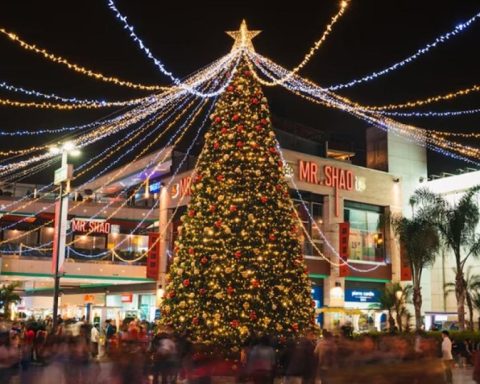 Santa Claus will bring a 10% increase in Christmas sales