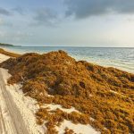 WhatsApp Image 2025-12-21 at 13.28.19