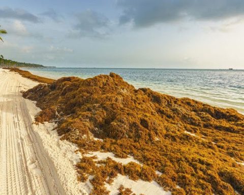 WhatsApp Image 2025-12-21 at 13.28.19