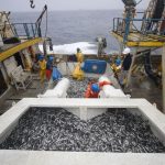 Scientific evidence supports that industrial fishing is compatible with conservation