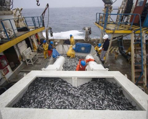 Scientific evidence supports that industrial fishing is compatible with conservation