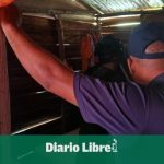 Seven prison officers arrested for inmate escape