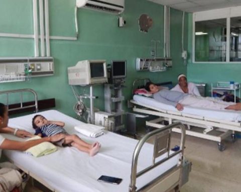 Some 8,700 Cubans have died from chikungunya or dengue in the current epidemic