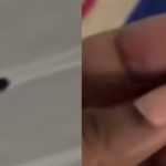 Stray bullet passes through a wall and falls into the bed of a minor in Apartadó who was miraculously saved