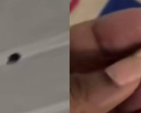 Stray bullet passes through a wall and falls into the bed of a minor in Apartadó who was miraculously saved