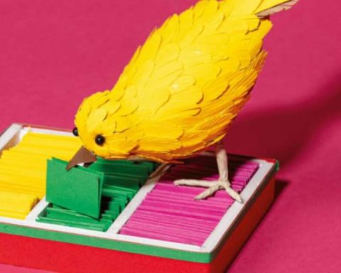 T-MEC, inflation and the Mexican economy… What will 2026 have in store for us?