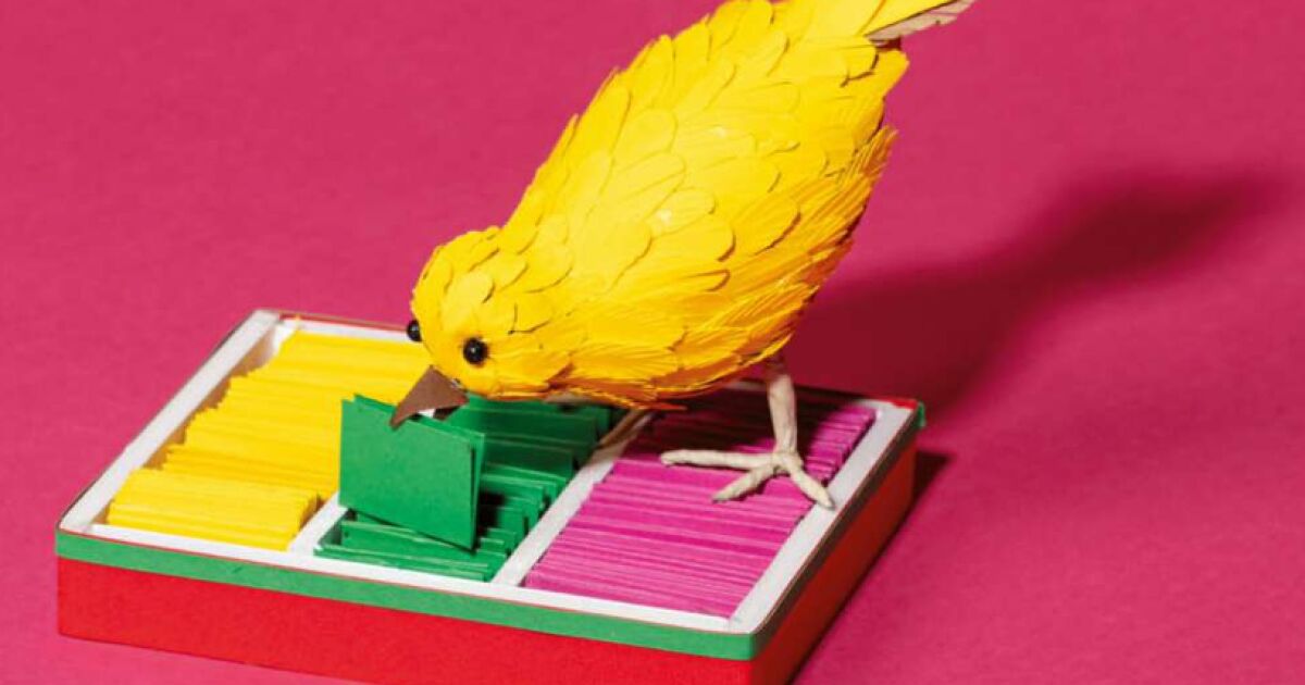 T-MEC, inflation and the Mexican economy… What will 2026 have in store for us?