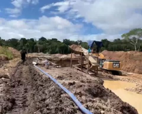 The Amazon under threat: Illegal mining devastates areas of Huánuco and Ucayali