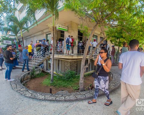 The Cuban Government gives the green light to foreign currency transactions and the legal circulation of other currencies