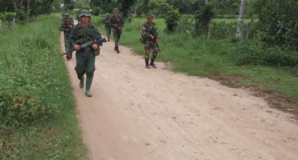 The Fanb intervened four drug farms in El Catatumbo