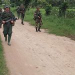 The Fanb intervened four drug farms in El Catatumbo