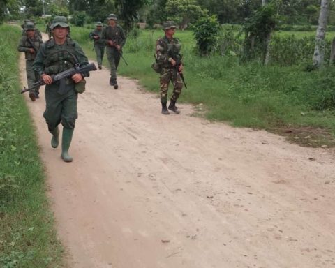 The Fanb intervened four drug farms in El Catatumbo
