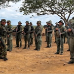 The Fever was linked to destabilization