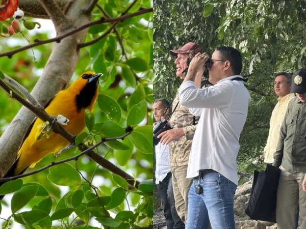 El Malecón de Cúcuta se consolida como escenario clave para el turismo de naturaleza y el avistamiento de aves
