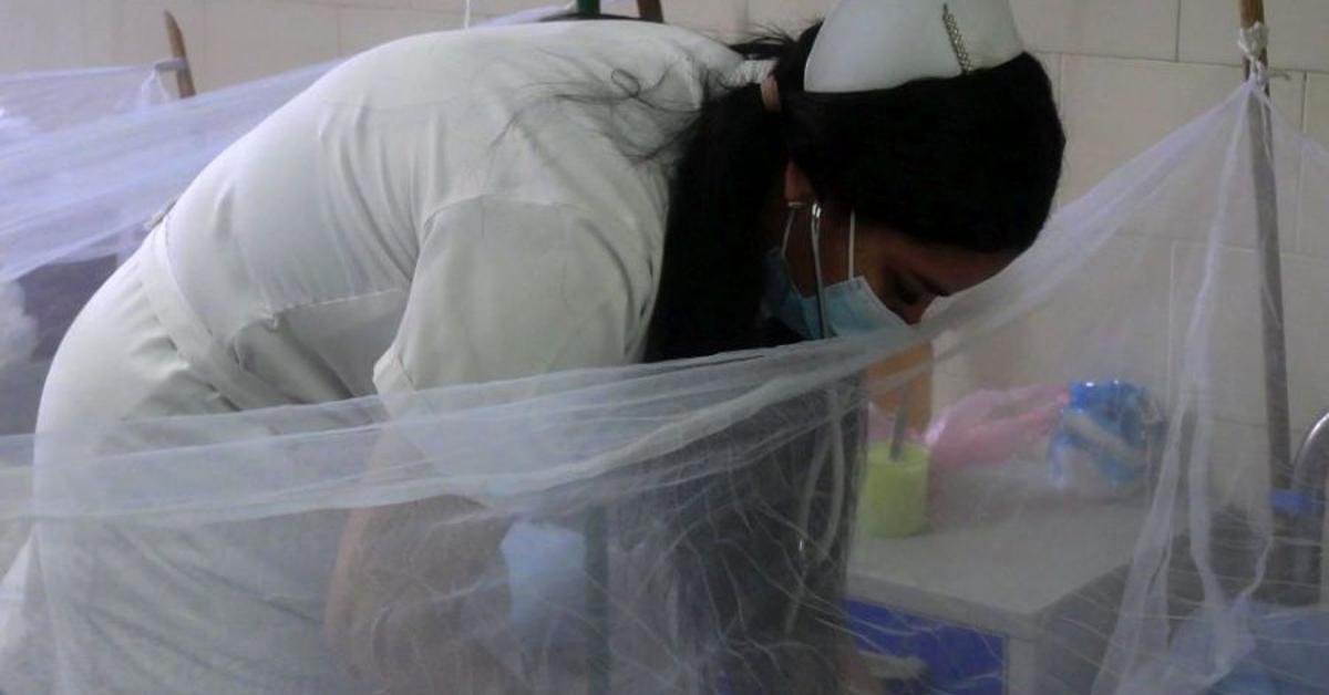 The Ministry of Health increases the death toll from chikungunya and dengue in Cuba to 33