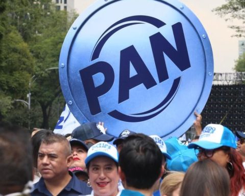The PAN offers citizens to search for candidacy through its application