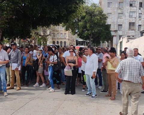 The definitive data indicates that more than 600,000 Cubans have requested Spanish nationality
