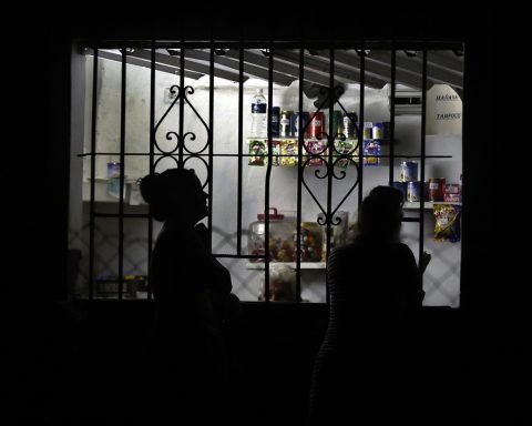 The exchange market, the new incentives for foreign investment and the Government Program for the economy. The whole and the parts