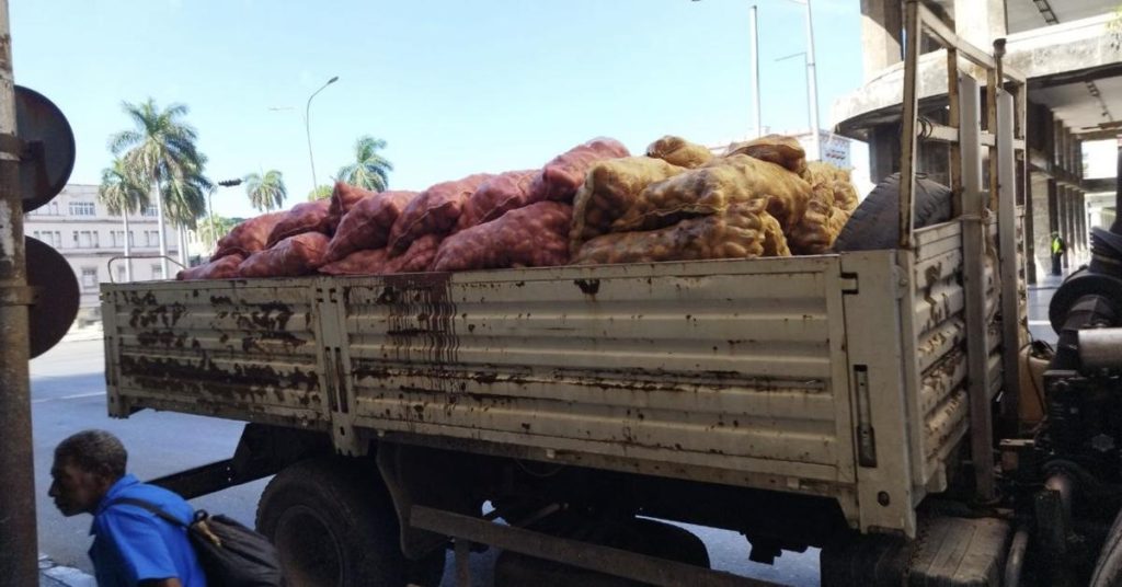 The protagonist of the rice controversy harshly criticizes the regime's agricultural policy