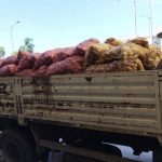 The protagonist of the rice controversy harshly criticizes the regime's agricultural policy