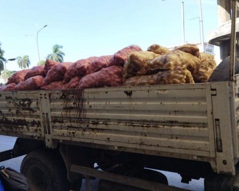 The protagonist of the rice controversy harshly criticizes the regime's agricultural policy