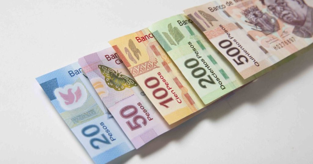 These Cetes say goodbye to 2025 with an increase in their yields