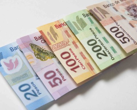 These Cetes say goodbye to 2025 with an increase in their yields